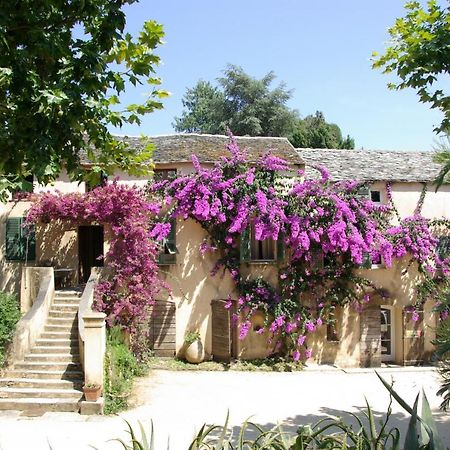 Domaine De Valle Sorbo-Ocagnano Buitenkant foto