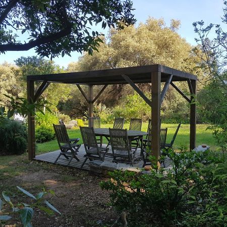 Domaine De Valle Sorbo-Ocagnano Buitenkant foto